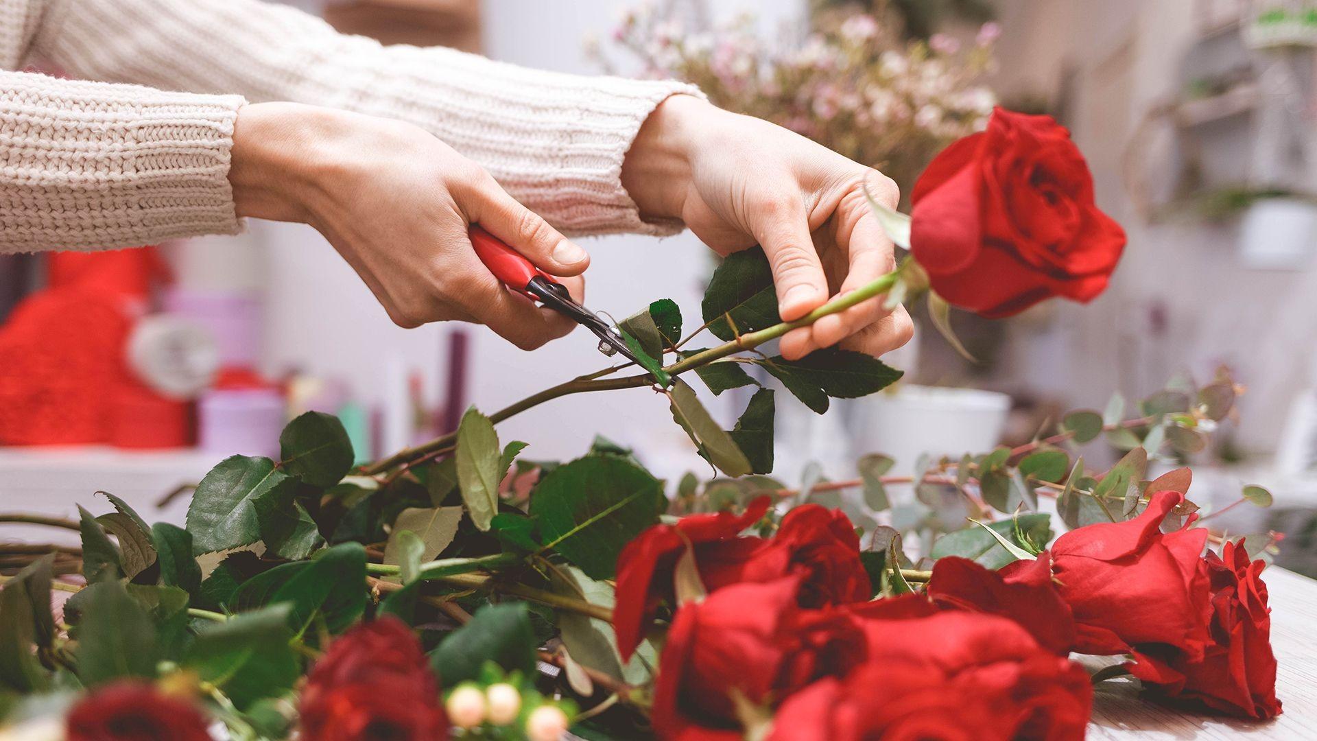 rosas rojas